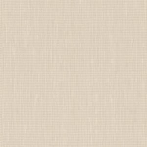 Colección Cato 527261