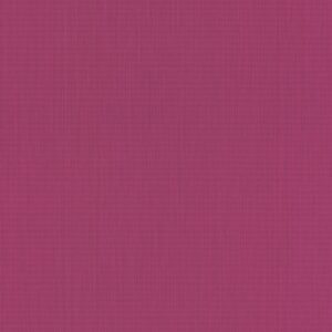 Colección Cato  527377