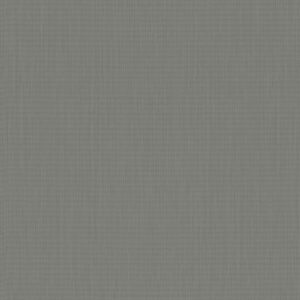 Colección Cato  527384