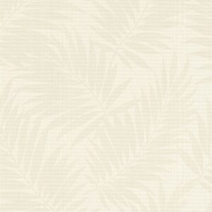 Colección Cato 527537