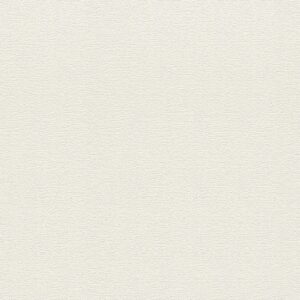 Colección Cato 800456